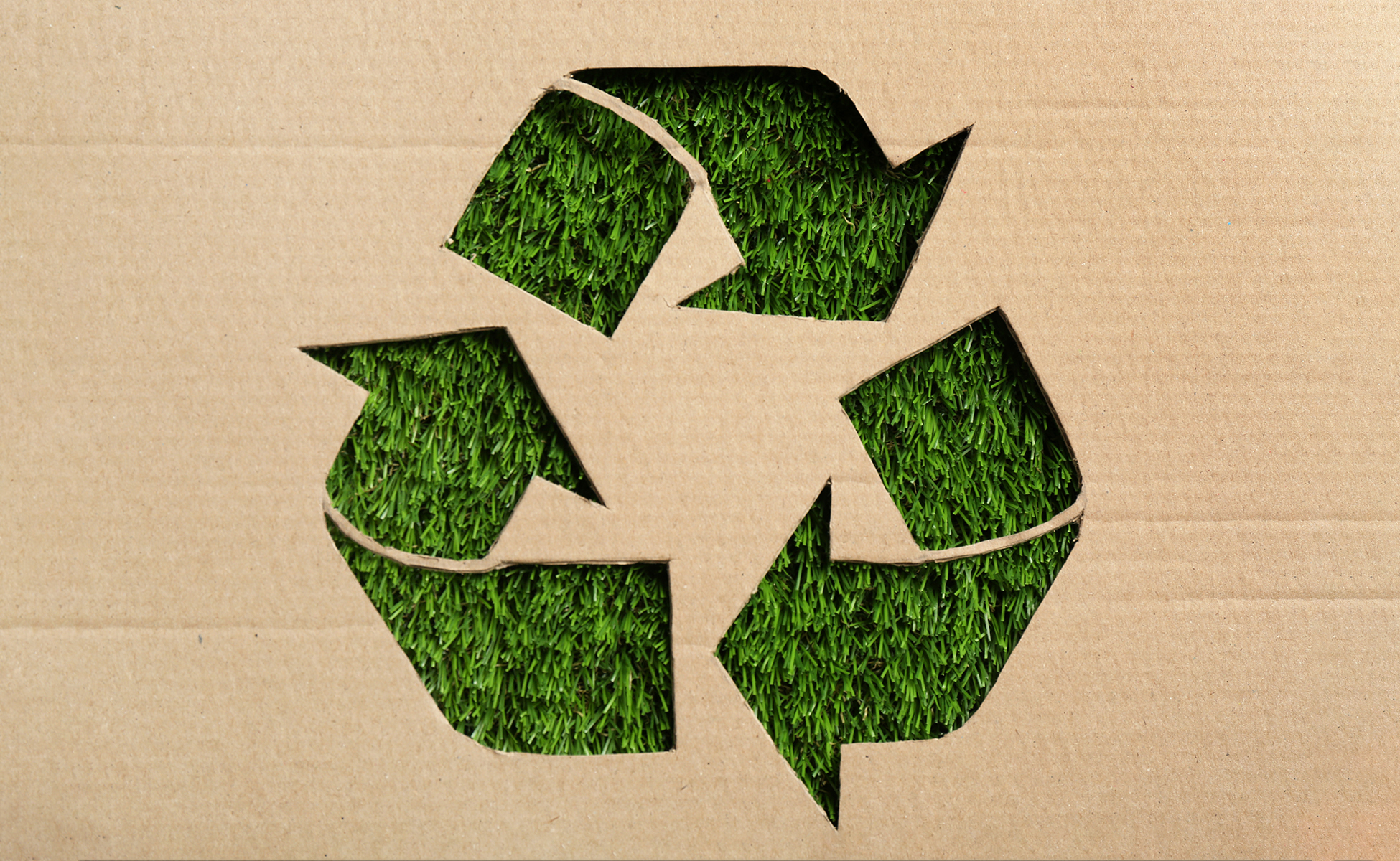 Sheet of cardboard with cutout recycling symbol on green grass,